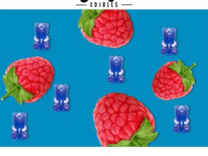 Ganja Bear Sour Gummies 350mg THC