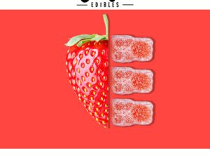 Ganja Bear Sour Gummies 350mg THC