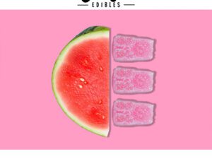 Ganja Bear Sour Gummies 350mg THC