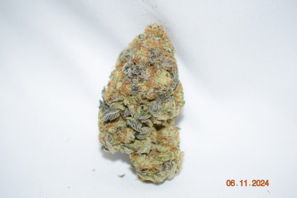 Hawaiian Cookies Sativa Dominant Hybrid AAA