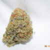 Hawaiian Cookies Sativa Dominant Hybrid AAA