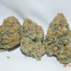 Hawaiian Cookies Sativa Dominant Hybrid AAA