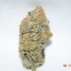 Tropic Truffle Sativa Dominant Hybrid AAA