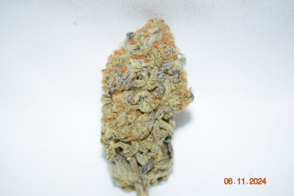 Tropic Truffle Sativa Dominant Hybrid AAA