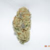 Tropic Truffle Sativa Dominant Hybrid AAA