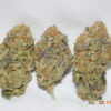 Tropic Truffle Sativa Dominant Hybrid AAA