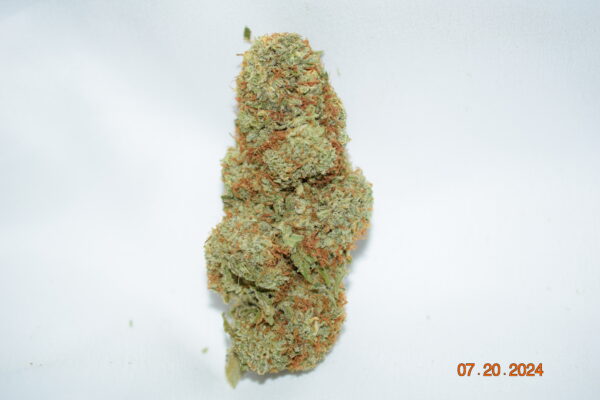 Cali Orange AAAA Evenly Balanced Hybrid