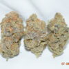 Purple Haze Sativa Dominant Hybrid AAA