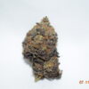 Purple Queen Indica Dominant Hybrid AAAA+