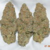 Sophie's Breath Sativa Dominant Hybrid AAAA+