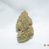 Moby Dick Sativa Dominant Hybrid AAA