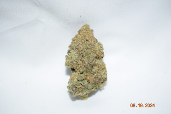 Moby Dick Sativa Dominant Hybrid AAA