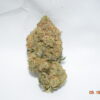 Moby Dick Sativa Dominant Hybrid AAA