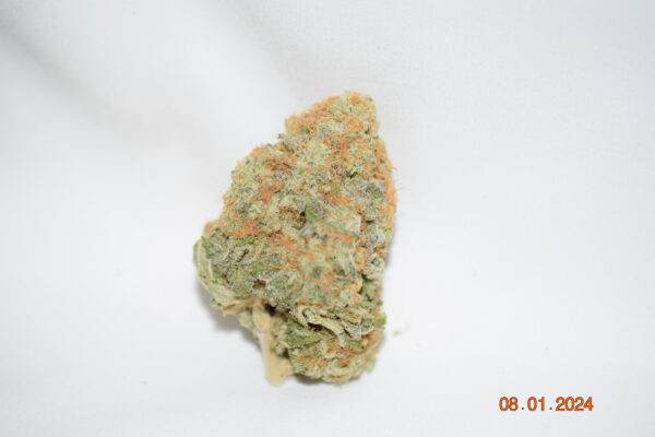 Orange Creamsicle Sativa Dominant Hybrid AAAA