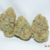 Orange Creamsicle Sativa Dominant Hybrid AAAA