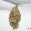 Gator Breath Indica Dominant Hybrid AAA