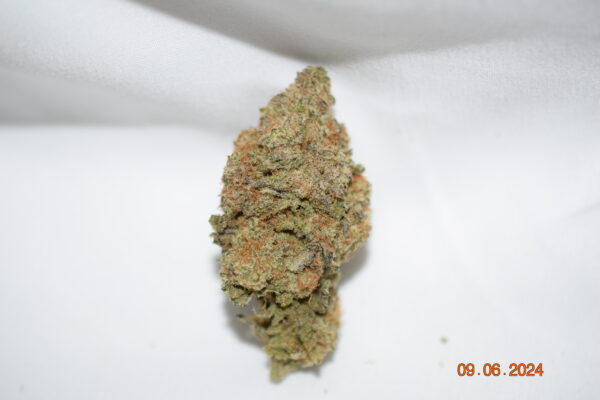 Gator Breath Indica Dominant Hybrid AAA