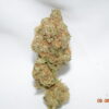 Gator Breath Indica Dominant Hybrid AAA