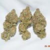 Gator Breath Indica Dominant Hybrid AAA