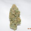 Jack Herer Sativa Dominant Hybrid AAA