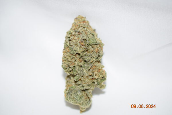 Jack Herer Sativa Dominant Hybrid AAA