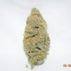 Jack Herer Sativa Dominant Hybrid AAA