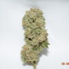 Jack Herer Sativa Dominant Hybrid AAA