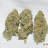 Jack Herer Sativa Dominant Hybrid AAA