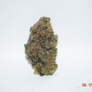 Mendocino Purps Sativa Dom Hybrid AAAA+