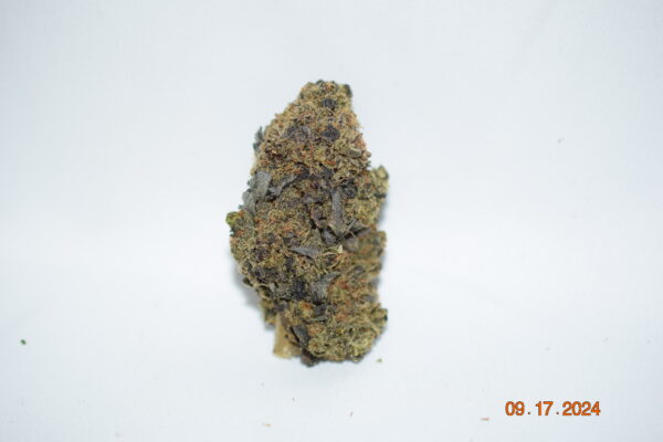 Mendocino Purps Sativa Dom Hybrid AAAA+