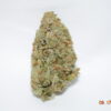 Rob Ford Indica Dominant Hybrid AAAA