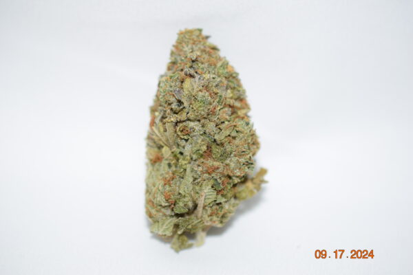 Rob Ford Indica Dominant Hybrid AAAA