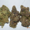 Zurple Punch Indica Dominant Hybrid AAAA