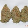 Durban Poison Sativa AAA