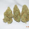 Exodus Cheese Sativa Dominant Hybrid AAA