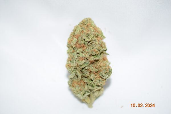 Gorilla Berry Indica Dominant Hybrid AAA