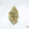 Gorilla Berry Indica Dominant Hybrid AAA