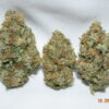 Island Pink Kush Indica Dominant Hybrid AAA