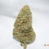 West Coast Diesel AAAA Sativa