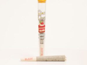 KushKraft Stardust Shatter Infused Pre-rolls 1.2g