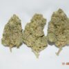 Lemon Sour Diesel Sativa Dominant Hybrid AAAA