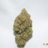 Pink Gas Indica AAA