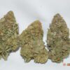 Super Silver Haze Sativa Dominant Hybrid AAA