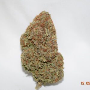 Tangerine Dream Sativa Dominant Hybrid AAA