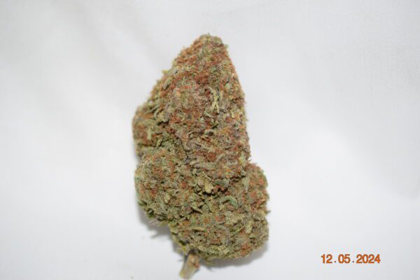 Tangerine Dream Sativa Dominant Hybrid AAA