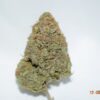 Tangerine Dream Sativa Dominant Hybrid AAA