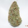 Tangerine Dream Sativa Dominant Hybrid AAA