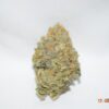 White Rhino Indica Dominant Hybrid AAAA