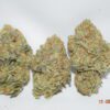 White Rhino Indica Dominant Hybrid AAAA