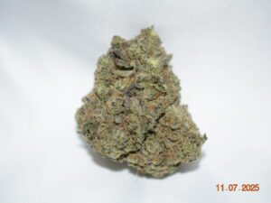 Mimosa Sativa Dominant Hybrid AAA+